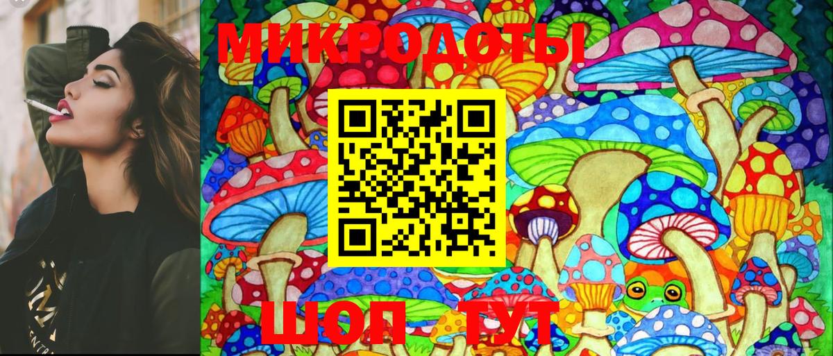 Абинск  Галлюциногенные грибы Cubensis  Вход с VPN 